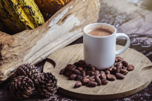 Cacao y Café